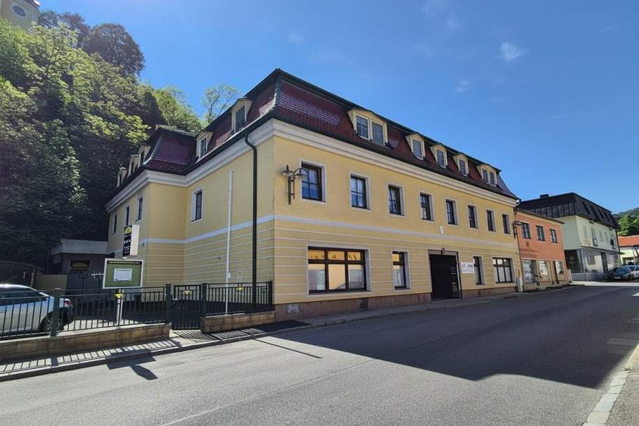 Renovierte 3 Zimmer Wohnung mit Balkon im Herzen von Pitten!, Wohnung-miete, 844,81,€, 2823 Neunkirchen