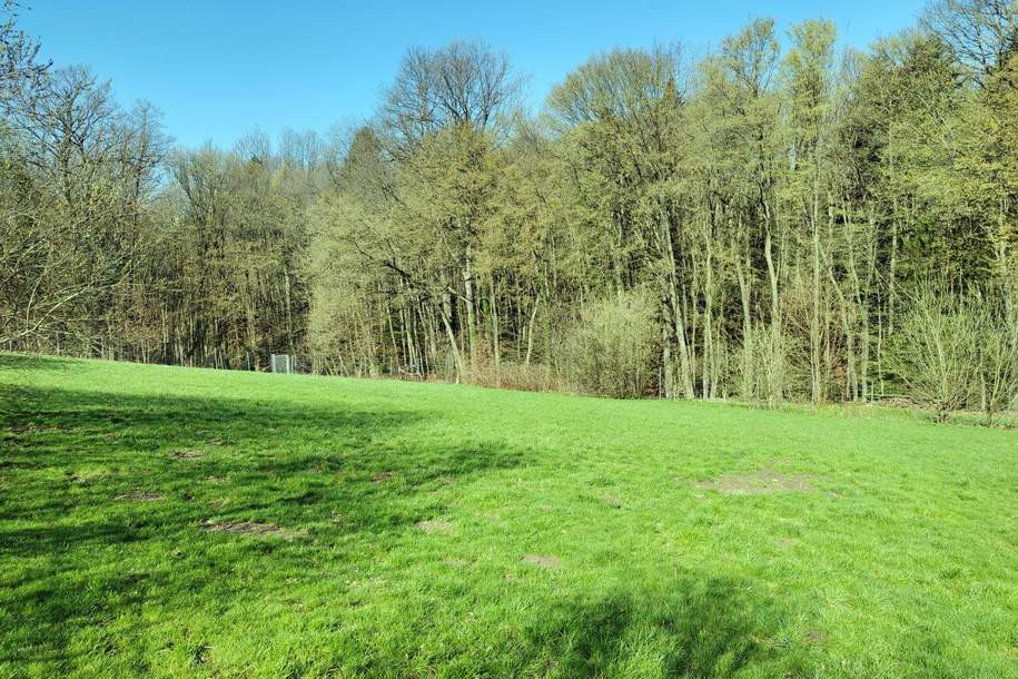 Ihr Traumgrundstück für Ihren Haustraum!, Grund und Boden-kauf, 3033 Sankt Pölten(Land)
