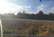 Baden (NÖ): 5.630 m² Kleingartensiedlungs-Grundstück – Konzept & Plan vorhanden | 18 Pacht-Interessenten | € 1.126.000