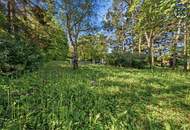 Wo die Seele ihr Zuhause findet: Ein Kunstwerk zwischen Wald und Wien
