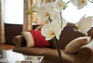 Private Luxury Living – Exklusive Wohnung im 5-Sterne-Hotel am Stadtpark