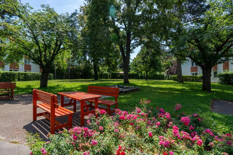 "3-Zimmer-Wohnung in der Matthias-Ernst-Pista-Gasse - Grüner Blick, Ruhig, Nähe Heurigen von Strebersdorf", Wohnung-kauf, 299.000,€, 1210 Wien 21., Floridsdorf