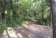 Traumwohnung mit Altbau-Flair und 11m²-Balkon