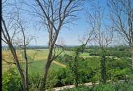 HERRLICHER AUSBLICK AN DER WAGRAMKANTE: MODERN, MASSIV & HOCHWERTIG WOHNEN IN DER WEINREGION MIT BESTER INFRASTRUKTUR