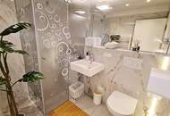 STEPHANSPLATZ-NÄHE, 27 m2 Apartment, 1 Zimmer, Kochnische, Duschbad, Parketten, 8. Liftstock, Rotenturmstraße