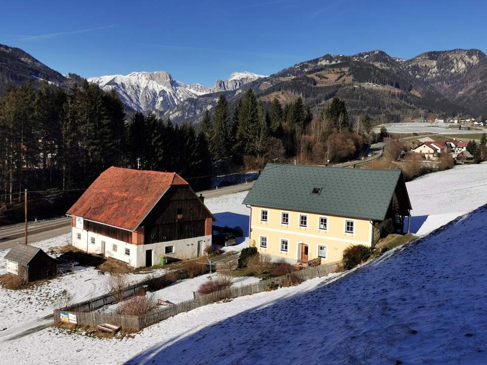 Bauernhaus mit Stallgebäude, umliegenden Wiesenflächen und Wald