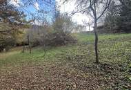 Traumhaftes Baugrundstück in Reauz – 2121m² für Ihr Eigenheim!