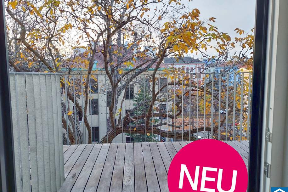 Altbau-Rohdiamant mit Balkon – Sanierungsobjekt im Herzen des 9. Bezirks, Wohnung-kauf, 238.000,€, 1090 Wien 9., Alsergrund