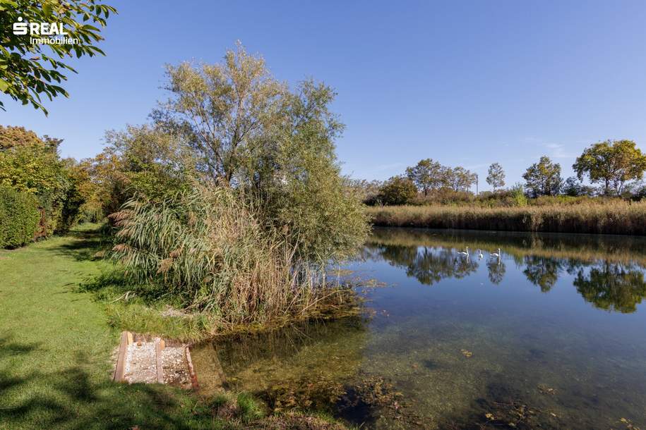 Baugrund direkt am Mühlwasser in 1220 Wien, Grund und Boden-kauf, 600.000,€, 1220 Wien 22., Donaustadt