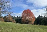 Allein... allein... entzückendes Bauernhaus in Einzellage