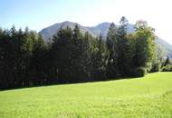 Hübsche, landwirtschaftliche Wiese mit kleinem Wald - KEIN Baugrund !!!