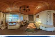 Alte Donau: Kleingartengrundstück mit Altbestand und Entwicklungspotenzial