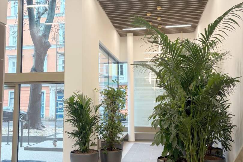 ERSTBEZUG - MODERNE AUSSTATTUNG: Hofseitige, moderne 2-Zimmerwohnung mit Balkon!, Wohnung-miete, 1.625,00,€, 1070 Wien 7., Neubau