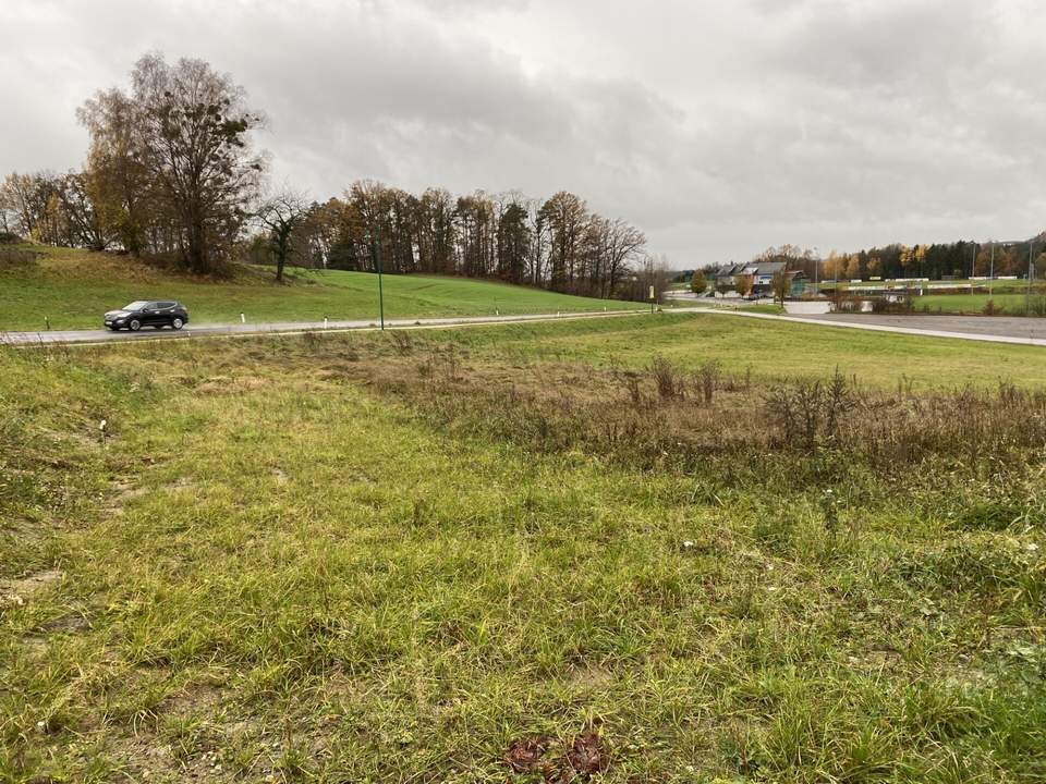 Mein Baugrund in Münzbach: nur mehr 1 Baugrund verfügbar-Neuer Preis!