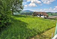 Herrliche Alleinlage: Großzügiges Einfamilienhaus (155m²) mit ehemaligem Wirtschaftsgebäude inmitten der Weinberge mit Blick auf Schloss Kapfenstein!