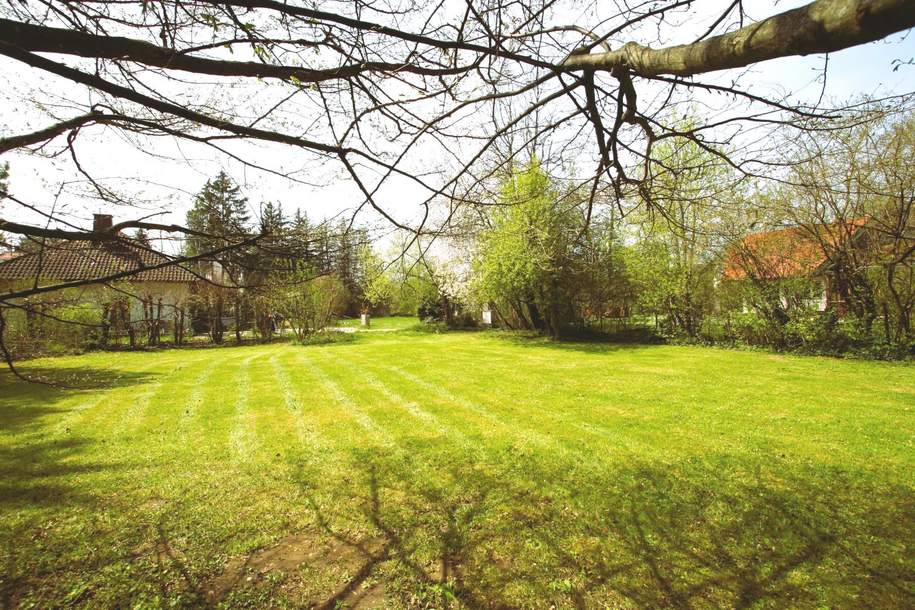 Ca. 1000m² BAUGRUND IM VIELFÄLTIG SCHÖNEN WIENERWALD-ORT GAADEN BEI MÖDLING, Grund und Boden-kauf, 595.000,€, 2531 Mödling