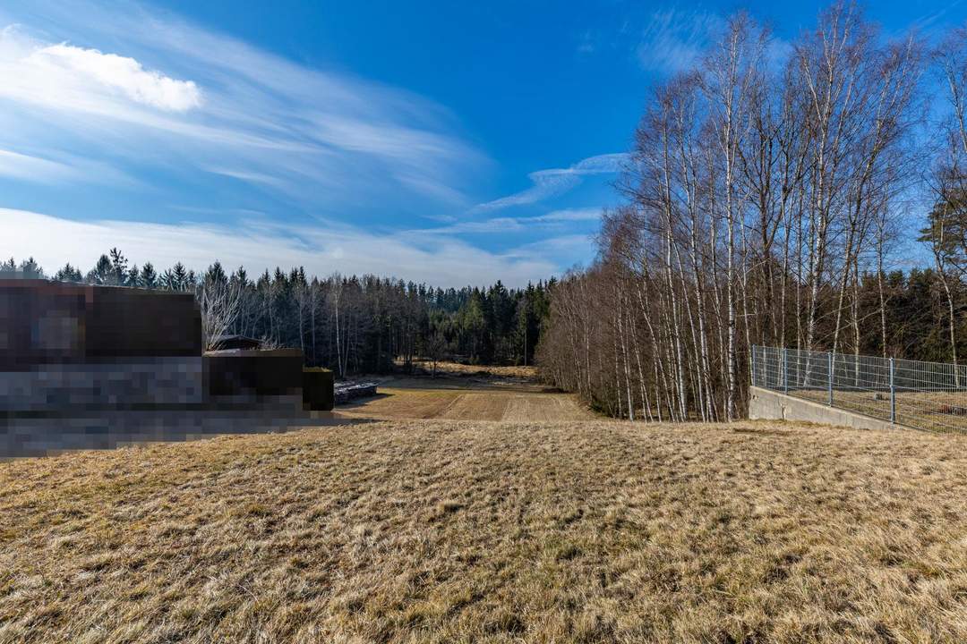 GRÜNOASE & AUSSICHTSLAGE: BAUGRUND IN KLEEDORF BEI NIEDERSCHREMS