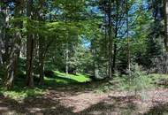 Waldfläche in Eberschwang/Hausruckwald - ca. 25.126 m²