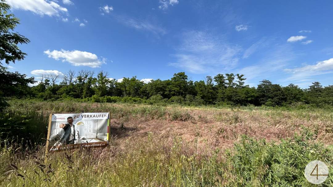 Projektiertes Bauvorhaben mit 14 Häusern, jeweils rund 500 m² Parzellen ! Einzelverkauf möglich !