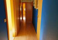 12371 Meite inkl. Heizung 590,--