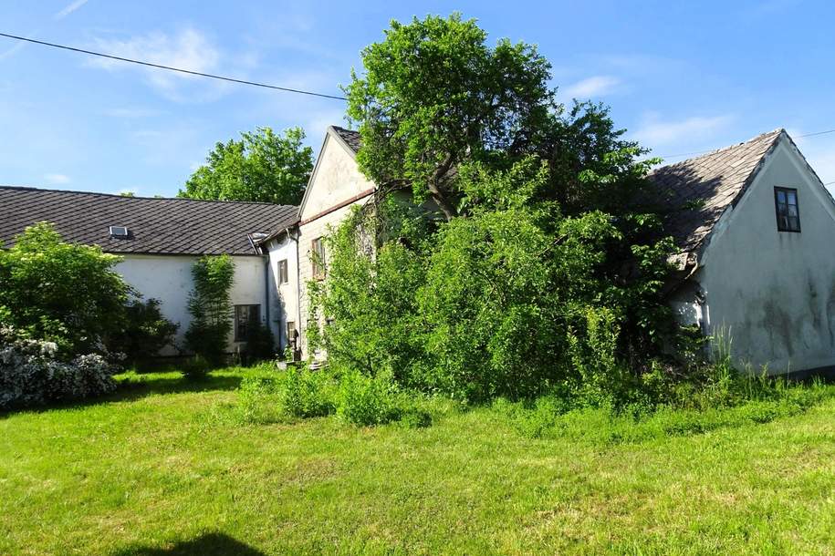 Abbruch-Wohnhaus auf 906 m² ebenem, sonnigem Baugrund, Grund und Boden-kauf, 135.000,€, 4522 Steyr-Land