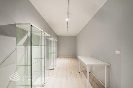 Repräsentables Büro/Praxis Nähe Stadtpark, Gewerbeobjekt-kauf, 1.650.000,€, 1010 Wien 1., Innere Stadt