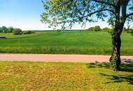 Leben, wo andere Thermenurlaub machen! Langstreckhof im sonnigen Lutzmannsburg