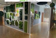 TIZ Ansfelden - Großzügige Gewerbefläche in Ansfelden – optimal für Ihr Unternehmen