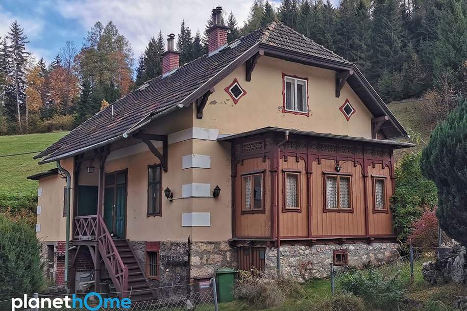 Jahrhundertwende-Villa im Grünen, Haus-kauf, 119.000,€, 2673 Neunkirchen
