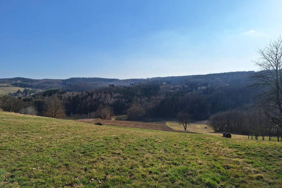 Natur pur! Haus mit Potenzial + Baugrund mit Aussicht im Südburgenland, Haus-kauf, 160.000,€, 7542 Güssing