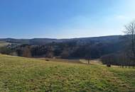 Natur pur! Haus mit Potenzial + Baugrund mit Aussicht im Südburgenland