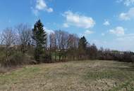 Großzügiges Grundstück ohne Bauzwang – Ideal für Gewerbe &amp; Investoren