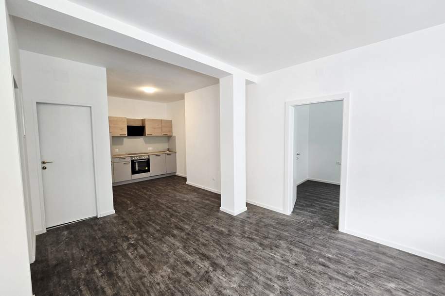 Neu renovierte 2-Zimmer Wohnung mit Küche, Wohnung-miete, 777,00,€, 9702 Villach Land