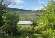 Kleingartenidylle mit Weinbergblick – nettes Sommerhäuschen mit Potenzial für Neubau! Digitales Angebotsverfahren!