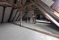 Historische Altbauvilla trifft auf modernen Luxus – Ihre private Residenz an der Leitha!