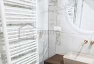 Moderne Wohnung zum Wohnen oder für Ihr neues Geschäft: einen Schönheitssalon, ein Café, eine Praxis! 3. Bezirk! U3