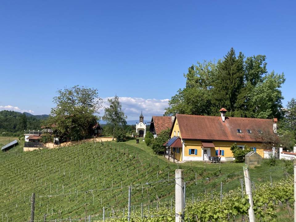 WEINGUT & JUWEL in den GAMLITZER WEINBERGEN / SÜDSTEIERMARK