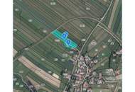 Entzückender Bauernhof in Hörmanns bei Zwettl mit 8.650 m² Grund