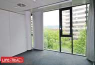 ein Wohlfühlbüro, hell, sonnig, lichtdurchflutet,