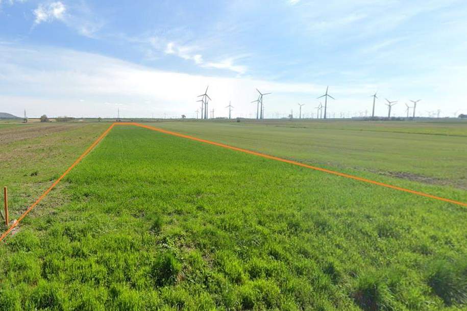 Ortsrandlage 2 Grundstücke mit ~ 2 ha 6,5 € / m² FP, Gewerbeobjekt-kauf, 123.812,€, 2404 Bruck an der Leitha