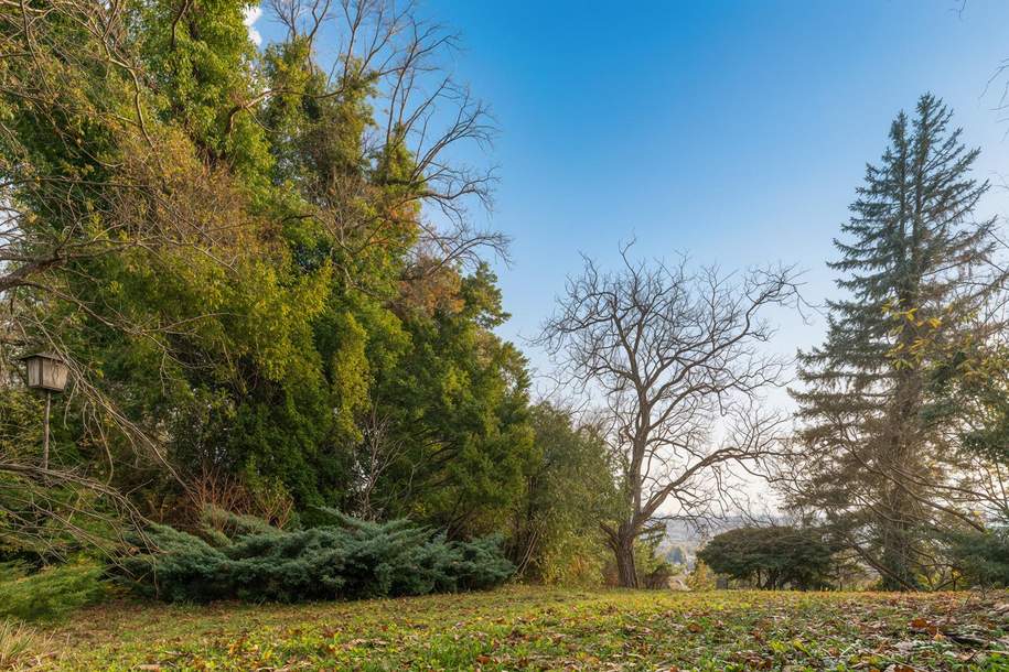 Sieveringer Villenlage: Weitblick, perfekte Ausrichtung und jede Menge Privatsphäre, Grund und Boden-kauf, 1.812.000,€, 1190 Wien 19., Döbling