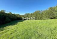 Erholung pur im eigenen Wald mit Bach und Wiesen nähe Amstetten