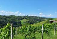 Atemberaubendes Anwesen mit Weingarten und Gebäuden"Bestlage in Slowenien" ca.4,5km von Spielfeld