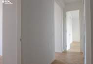 Nahe Stephansplatz - ERSTBEZUG ab 15.1.2026 - erstklassig sanierte Altbauwohnung mit kleinem Balkon im Jahrhundertwendehaus