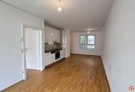 2-Zimmer-Wohnung mit Loggia im Bezirk Lend