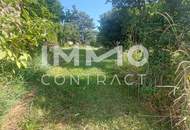 WOHN-UND GESCHÄFTSHAUS AUS DEM 16. JAHRHUNDERT IM HERZEN VON LANGENLOIS 100 m Kellerröhre, Nebengebäude, Innenhof, Geschäftslokale, usw.