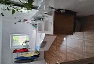 "2 Häuser Preiswert beim Traunsee - Altmünster - Reindlmühl, Natur pur etwas abseits des Trubels"