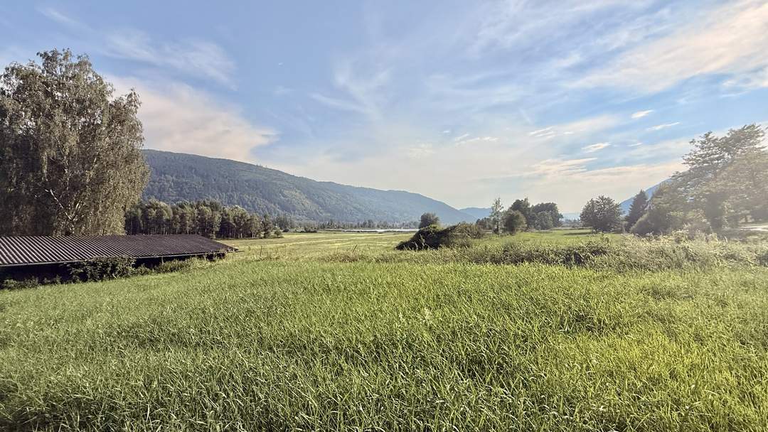 Steindorf / Ossiacher See: schöne landwirtschaftliche Fläche (kein Bauland!)
