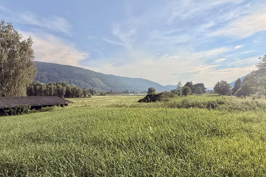 Steindorf / Ossiacher See: schöne landwirtschaftliche Fläche (kein Bauland!), Grund und Boden-kauf, 78.000,€, 9552 Feldkirchen