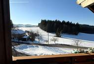 Holzhaus mit Aussicht